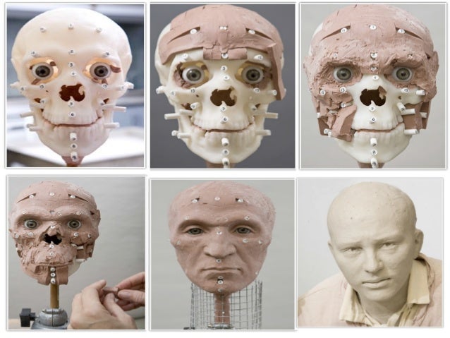 forensic facial reconsrtuction Forensic facial reconsrtuction